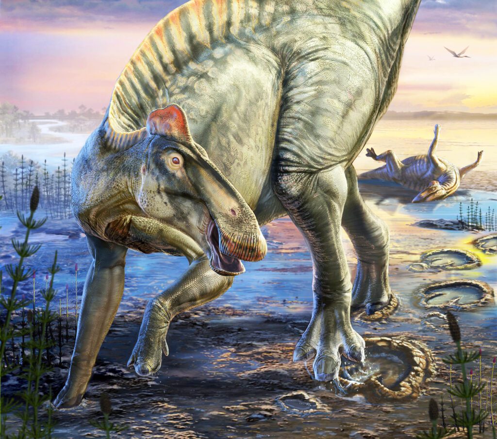 Duck billed dinosaur mummy illustration dani navarro 1m.jpg