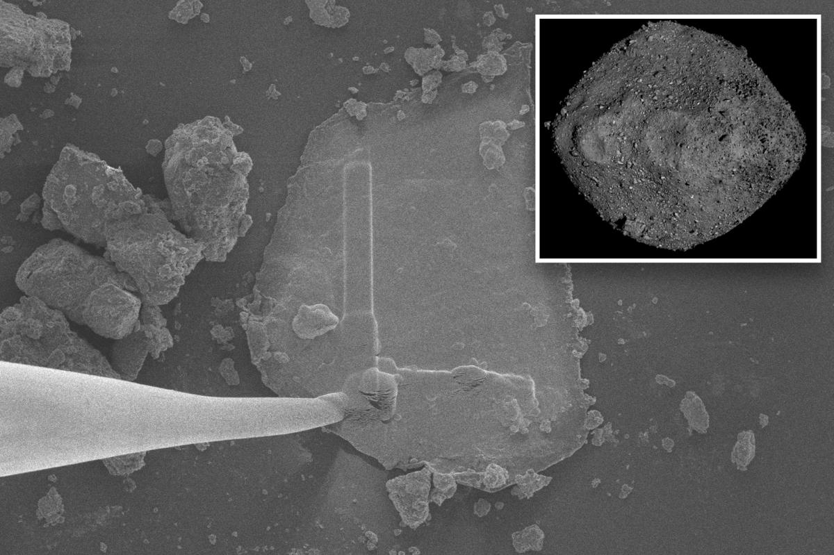 Asteroid hurtling toward Earth found to be teeming with building blocks of life: researchers 116730214.jpg