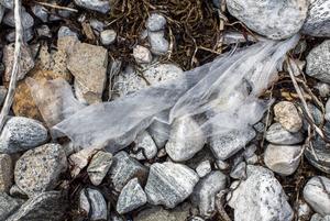 First UN World Cleanup Day to launch in Troms 1724980092 public.jpeg