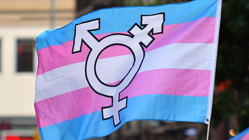 Trans flag thumbnail.jpg