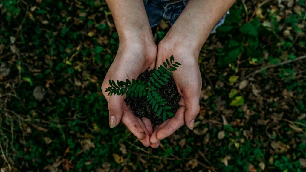 World environment day date history theme and significance 041953372 16x9 0.jpg