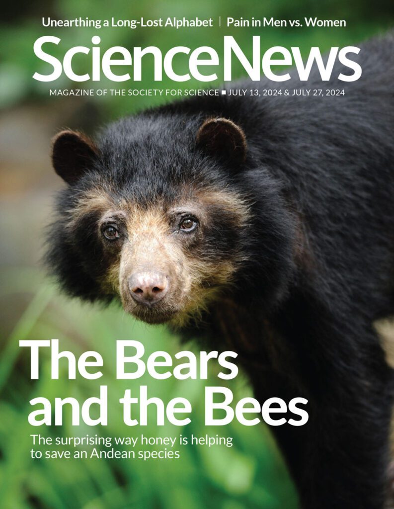 Readers discuss black holes’ trippy effects on time, banned swimsuits 071324 Bear Cover 1000.jpg