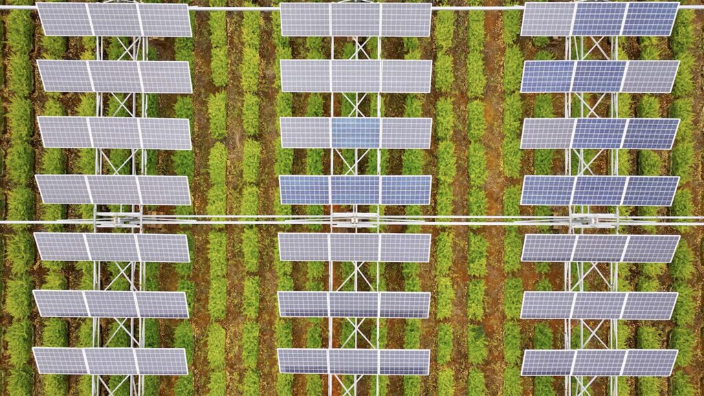 Can solar farms and crop farms coexist? 091024 Lg Agrovoltaics Feat Copy.jpg