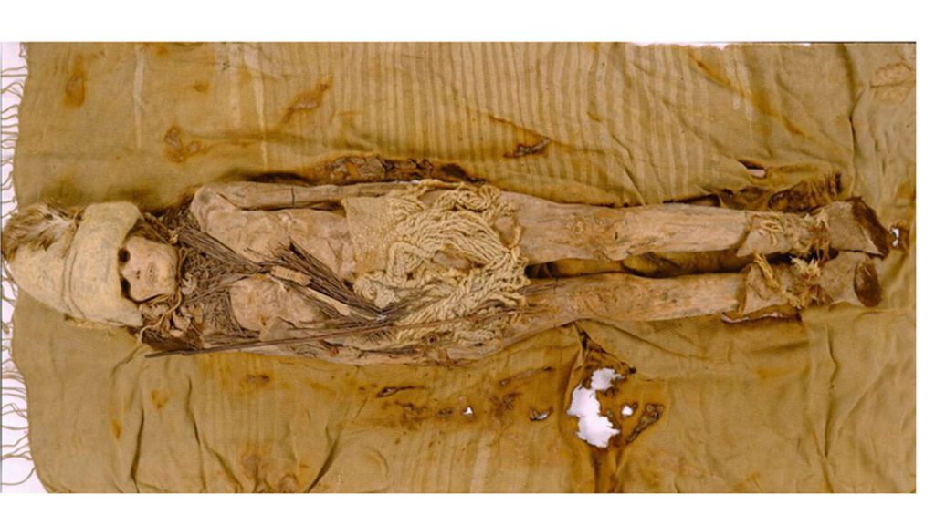 The world’s oldest cheese is now revealing its secrets 092524 Sh Cheese Feat.jpg