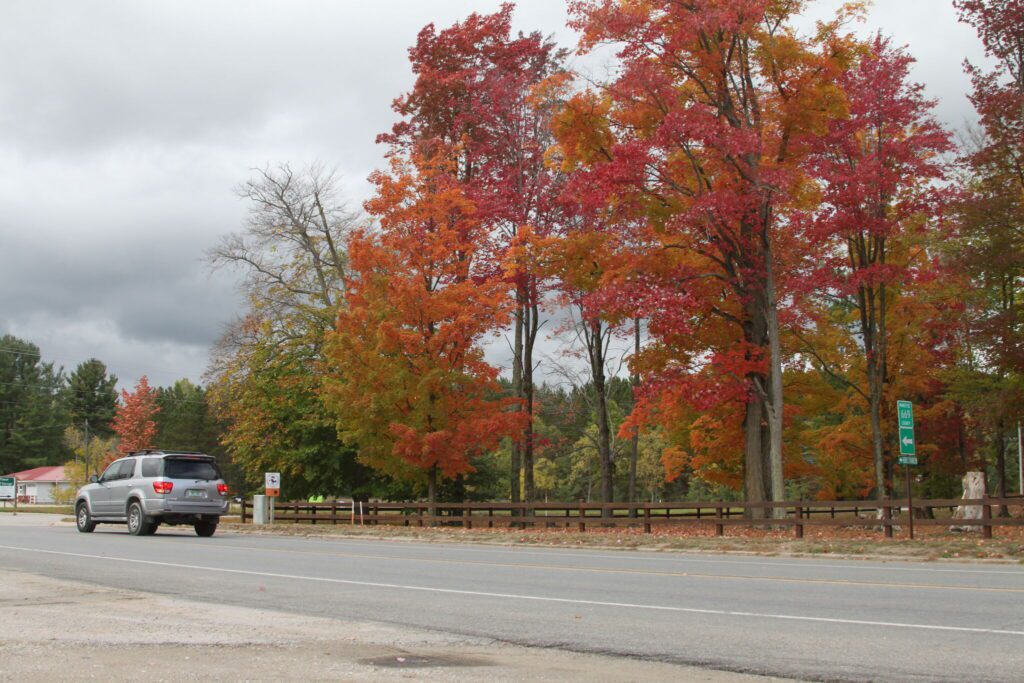 Arts and Culture Alliance to host picnic 1725961811 Rawimage.jpg