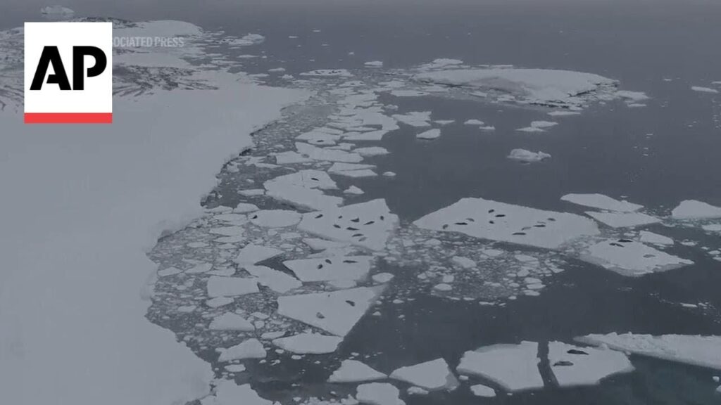 YouTubeScientists say melting Antarctic iceberg poses major sea level threatAn Antarctic glacier could cause global sea levels to rise to devastating 
levels if it collapses, a team of scientists from the UK and US….22 hours ago 1727035159 Maxresdefault.jpg