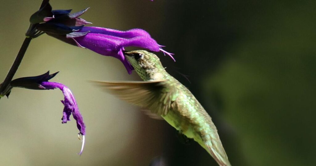 Best Shots: Sept. 14-15, 2024 | Lifestyle 66e4694427d05.image .jpg