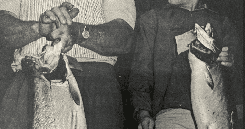 News Files: Physical education introduced at area schools | Archives 66e8836ec8486.image .png