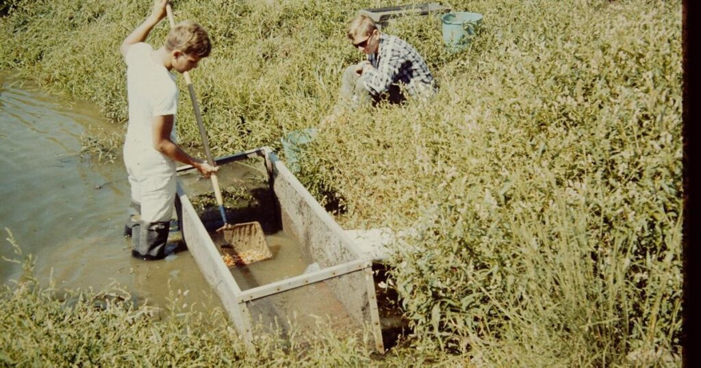 The Frederick News-PostWinston Churchill and the goldfish farmerDuring the 1940s, Frederick Tresselt, of Thurmont, ran a small retail store for Hunting Creek Fisheries along what was then Frederick Road..1 day ago 66f428bcb9bcf.image .jpg