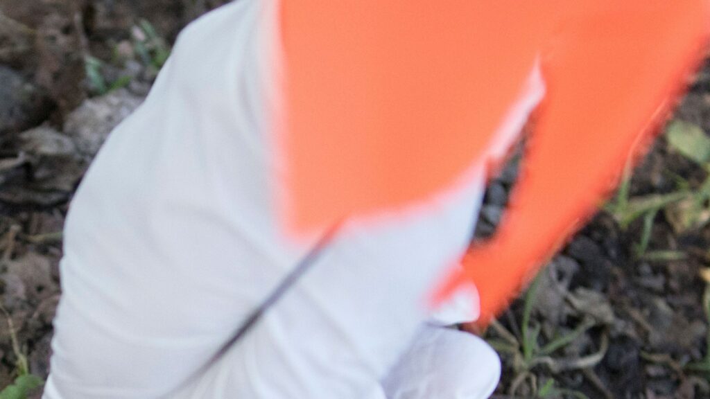 Preventing cancer starts with these lifestyle, diet changes 74376400007 Usatsi 11456868.jpg