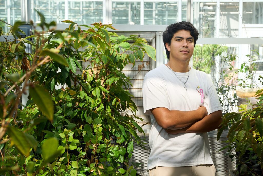 Camellia research allows Allen Gomez to hone skills he’ll use in his career in medicine Allen Gomez 073124 083 Web.jpg