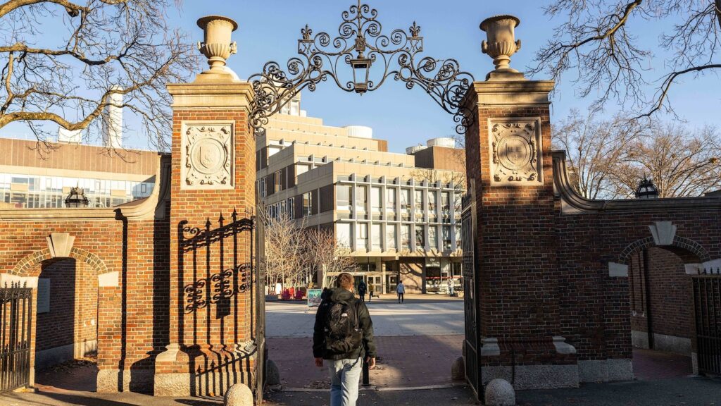 Culture College Harvard Gty Jm 240826 1724695465521 Hpmain 16x9.jpg