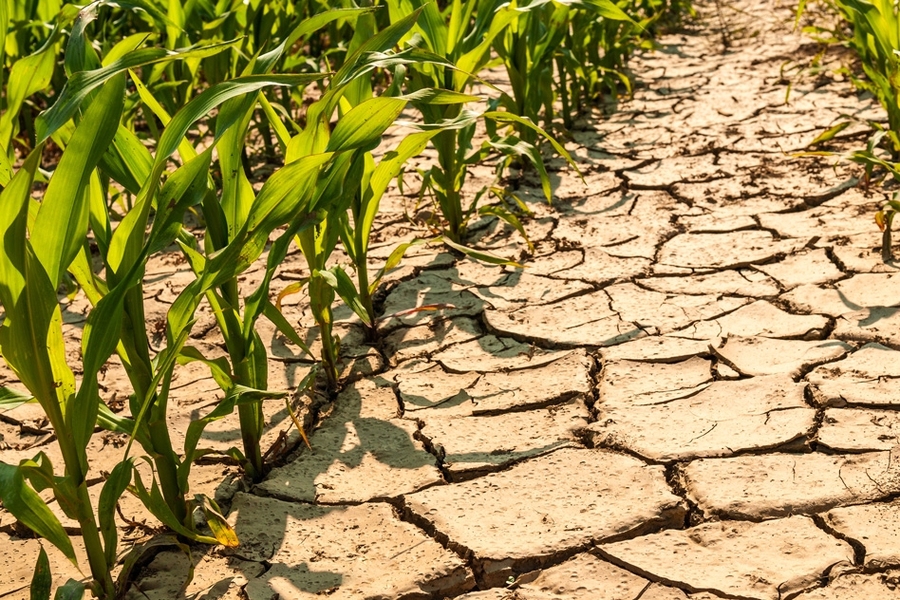 Strengthening agricultural water management for climate resilience in Africa – Africa Science News Drought.jpg
