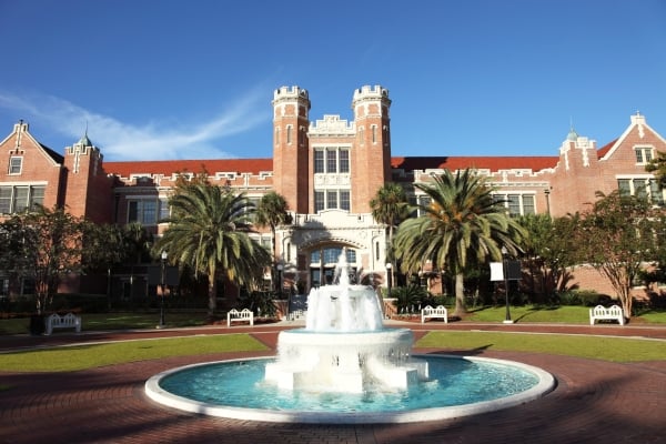 AVP for career services at Florida State University Gettyimages 184999165.jpg