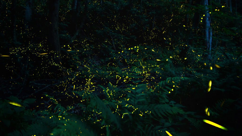 Gettyimages 562573201 Rescale Crop.jpg