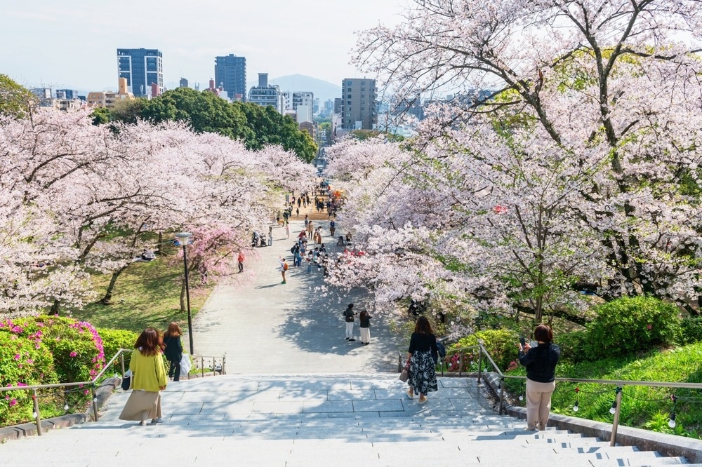 Longevity, lifestyle, and emerging health priorities Imagefornews 790449 17264741224664759.jpg