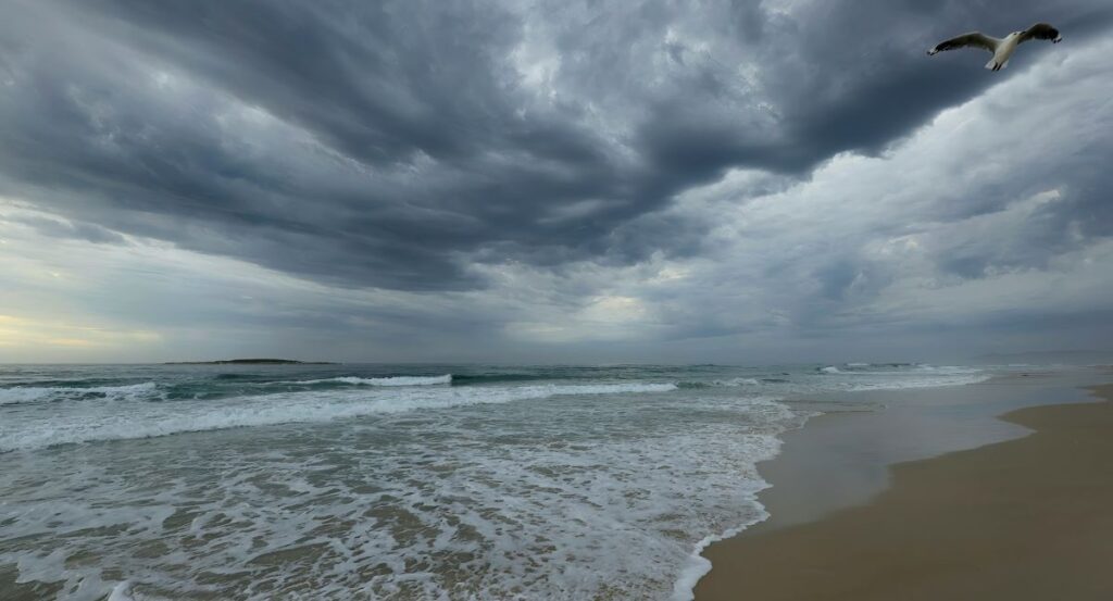 COURTHOUSE NEWS: California judges call for continuing education in face of climate-related litigation ~ MAVEN’S NOTEBOOK Storm Over Ocean Unsplash.jpg