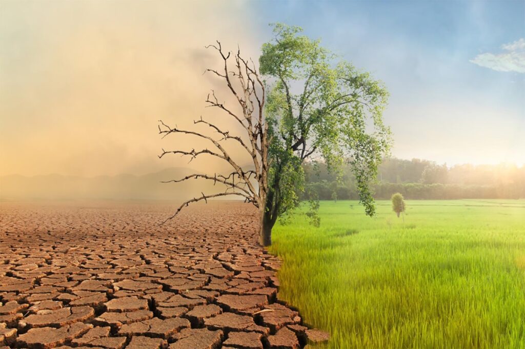 Afro Initiative Climate Change.tmb 1200v.jpg