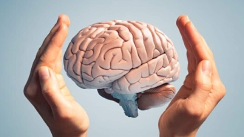 Habits that damage your brain health: Modern lifestyle routines you need to stop immediately | Health Bbbnhgfds 1680668810014 1725711412666.jpg