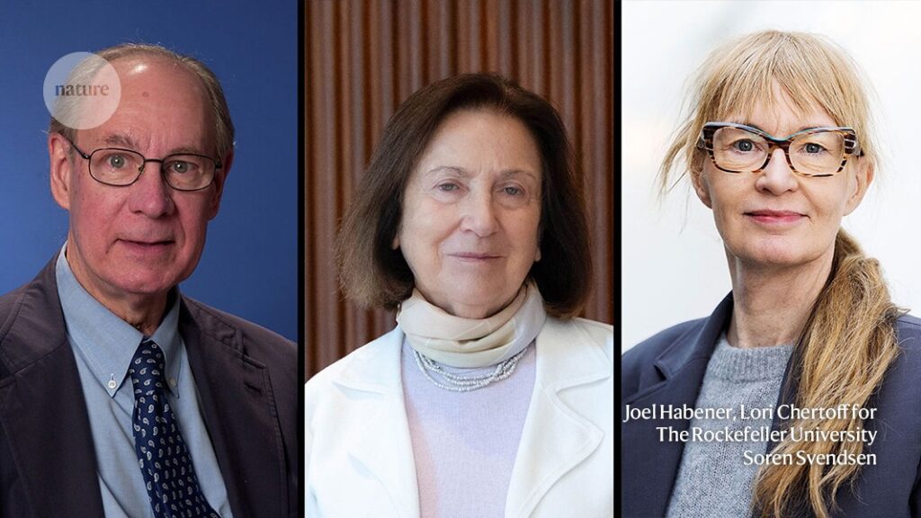 Obesity-drug pioneers win prestigious Lasker Award for medical science D41586 024 03078 X 27692078.jpg