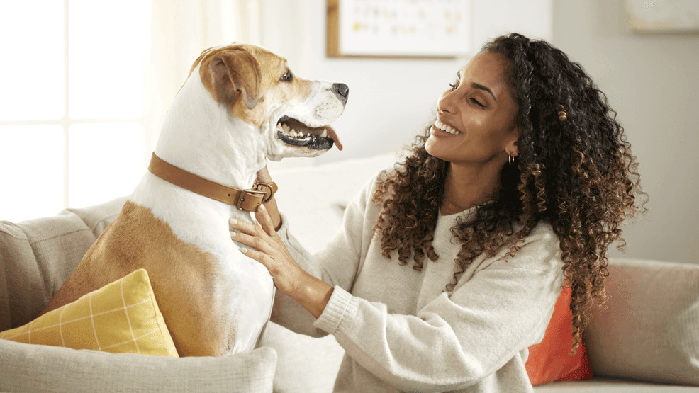 Lifestyle expert shares best ways to keep pets healthy and happy this fall F373e7e3 92a1 4b99 9c02 1c286928a5f4 01 Nutrish.png