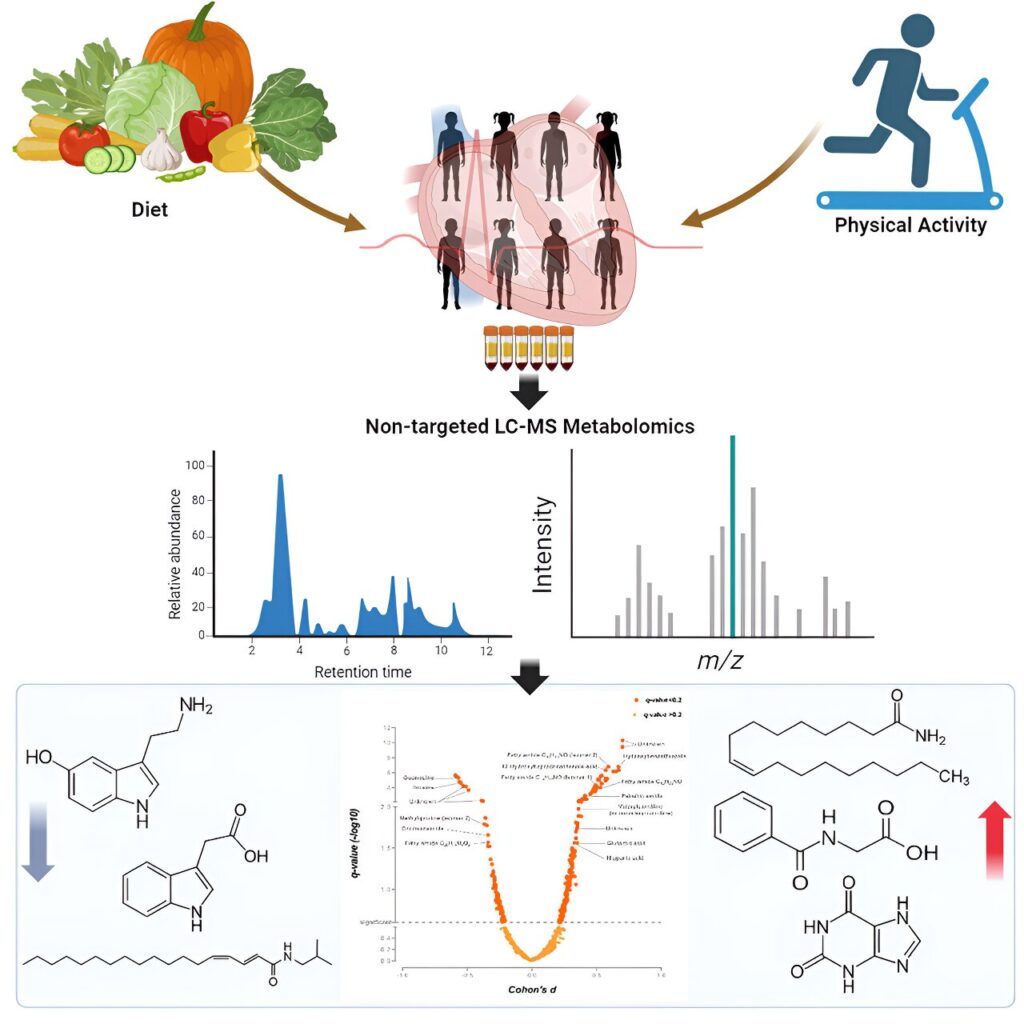 Lifestyle intervention from childhood to adolescence affects metabolism even years later, finds study Lifestyle Intervention 1.jpg