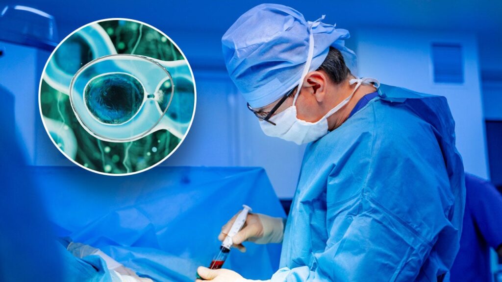 Stem Cell Transplant Split.jpg