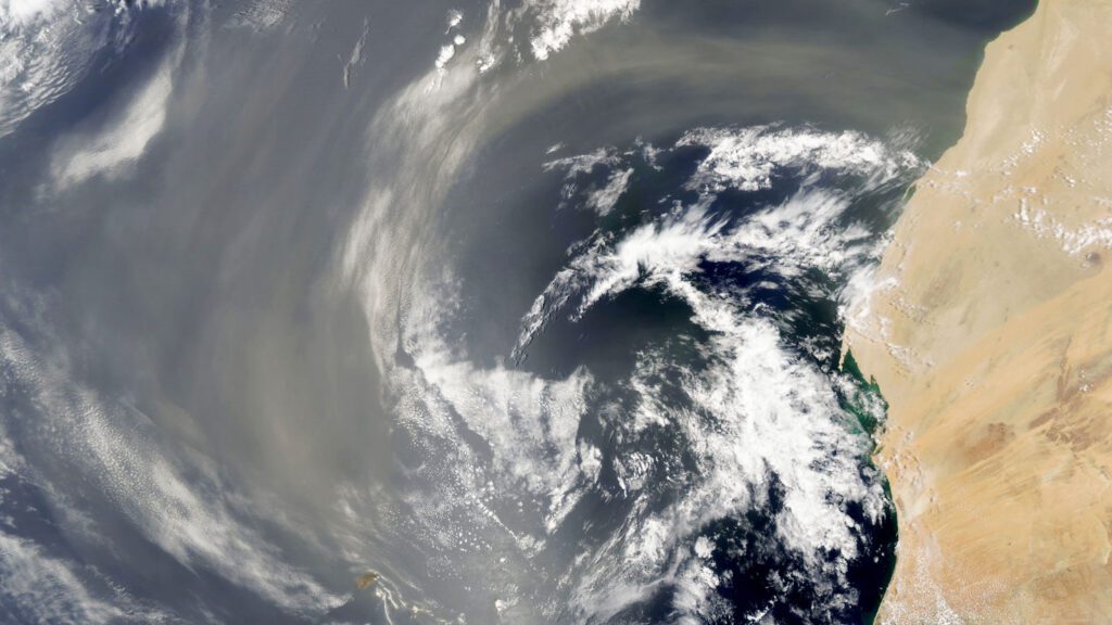 A transatlantic flight may turn Saharan dust into a key ocean nutrient 092624 Df Sahara Dust Feat.jpg