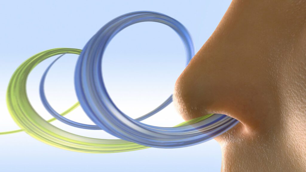 101124 Nb Swift Sniff Feat.jpg