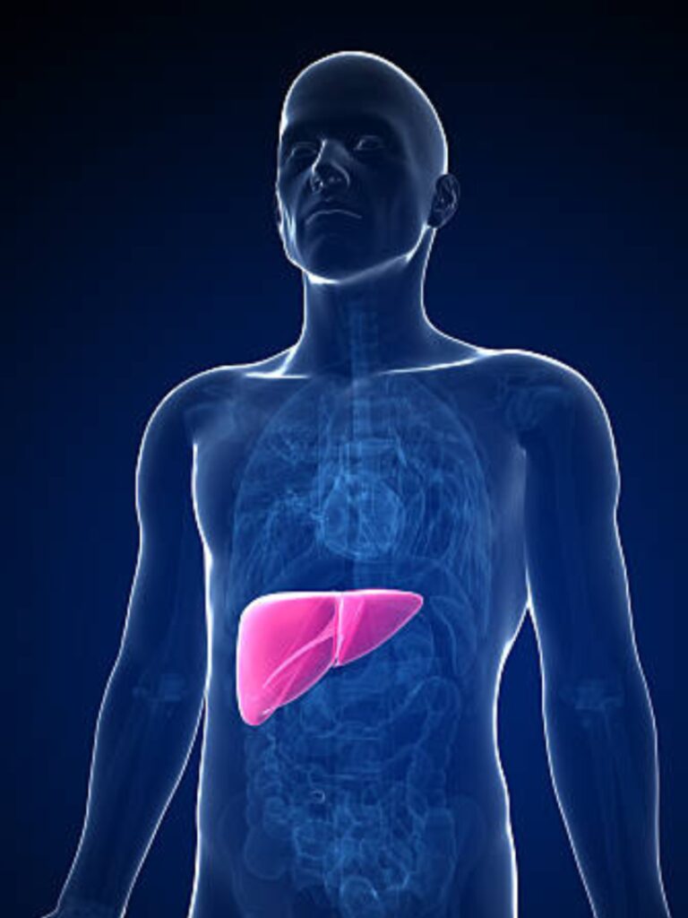 TimesOfIndia.com10 lifestyle habits that trigger fatty liverFatty liver disease is often linked to lifestyle choices. This condition, characterized by the accumulation of fat in the liver, can lead to….Aug 9, 2024 112400093.jpg