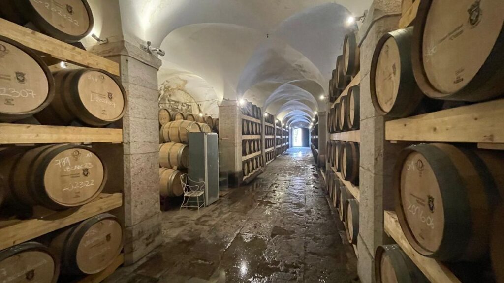 1200x675 Cmsv2 E2868e16 C45d 5460 8a38 E2a20db9c4d7 8772836.jpg