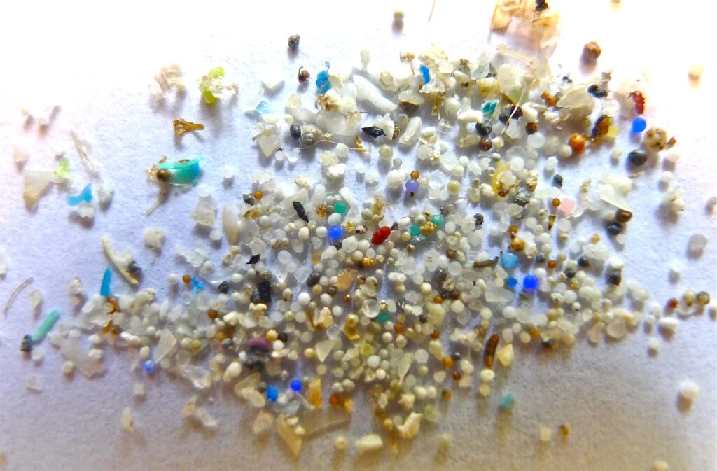 Fetus absorbing microplastics which persist post-birth, claims alarming study 460750 Microplastic.jpg