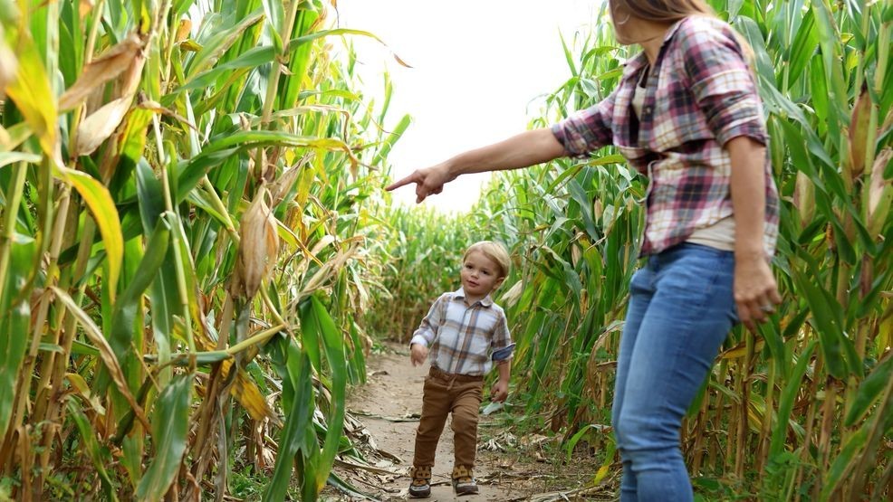 WBFFLifestyle expert shares tips for keeping kids healthy this fallLifestyle and wellness expert Grace Gold joins Lady T to share expert tips 
for keeping kids healthy and navigating the cold and flu season….19 hours ago 521a6c74 54bb 43f5 8020 86cda86e429a Gettyimages1760104129.mov.00 00 02 26.still001.jpg
