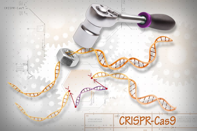 Science news in review: Oct. 7 5535b8a7 955f 47de A355 015c7d39c30a.sized 1000x1000.jpg