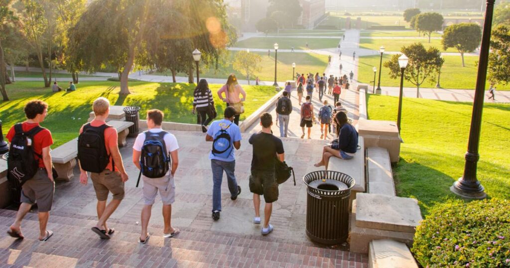 How first-year college students adjust to culture shock 66fd4652e6cb7.preview.jpg