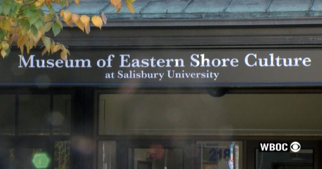 67218c4053751.image .jpg