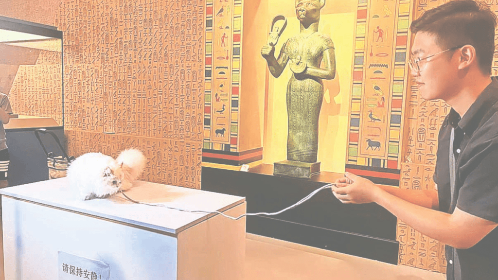 A furry art walk: Pet museums can be much more than just a showcase of memorabilia – Lifestyle News A Furry Art Walk.png