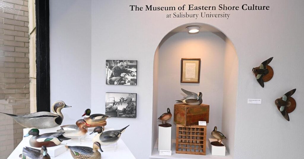 Museum of Eastern Shore Culture at SU to Open November 2 – Friday October 18, 2024 Museum Of Eastern Shore Culture At Salisbury University Fb.jpg