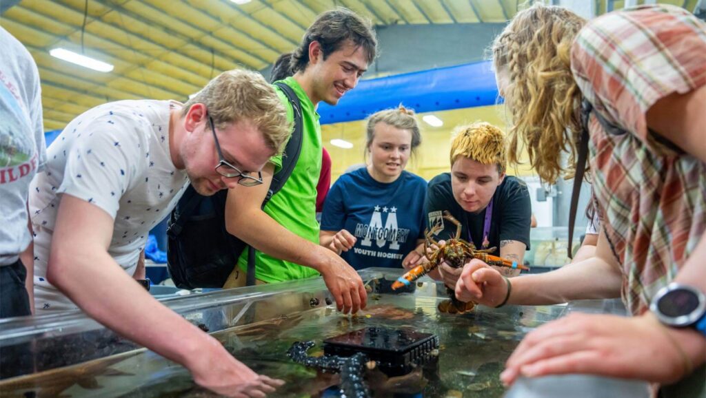 New UMaine program to enhance blue economy through education, outreach and tuition assistance – UMaine News Seabears News Feature.jpg