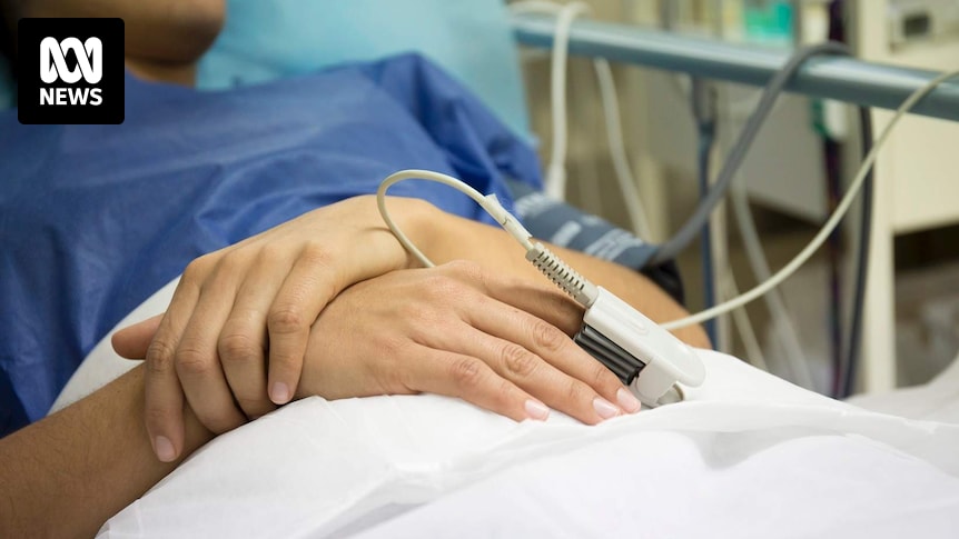 Abortion has become a surprise topic ahead of Queensland’s election. What are the rules across Australia? B1b78d743ea39a38f803f88ca822d5d5.jpeg