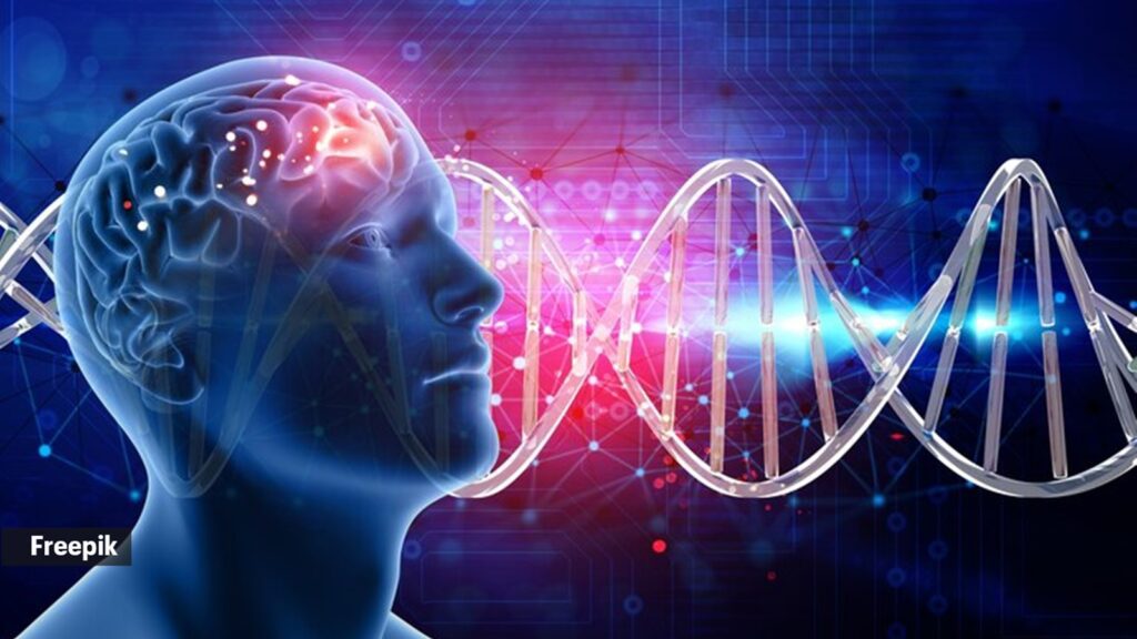 Revealed: The secret to making better decisions | Life-style News Brain 1.jpg