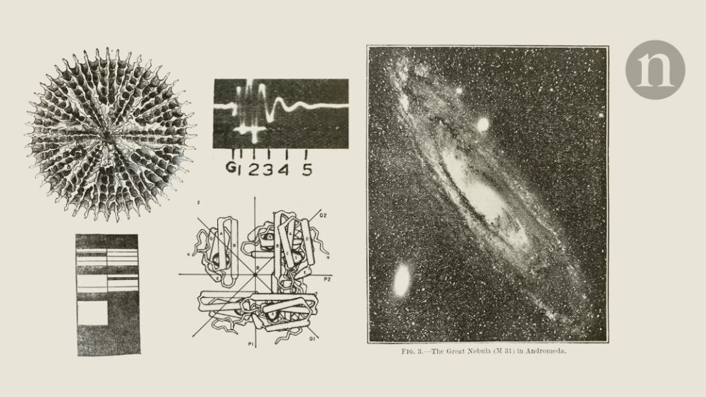 NatureDealers need not apply: shipping plants for science in 1874The efficacy of cancer treatment in 1924, and an offer of carnivorous 
plants for experimentation, in our weekly dive into Nature's archive..1 day ago D41586 024 03184 W 15948434.jpg