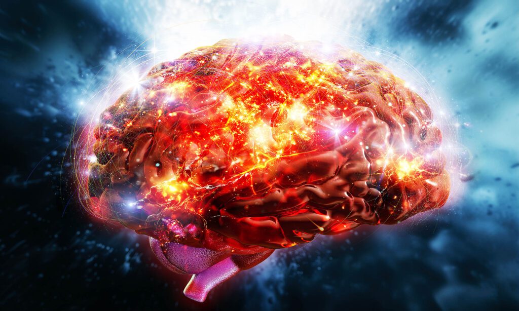 Your brain literally changes based on daily activities and lifestyle Human Brain Changes Daily Activities 1m.jpg