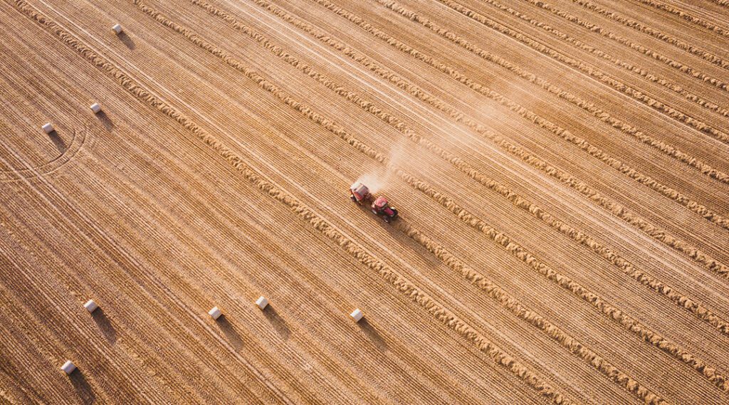 Farming under solar panels: The promise of agrivoltaics in the fight for net-zero Ivan Bandura V5 Pmz1vzrg Unsplash.jpg