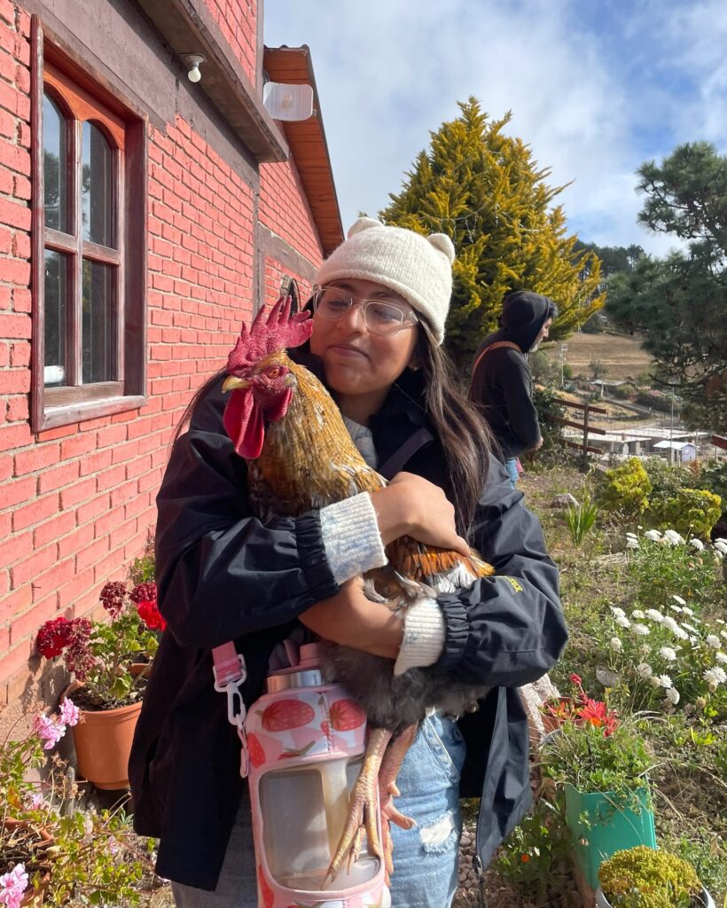 Processed F50157eb B319 4ca1 8e2c 189abff76c85.jpg