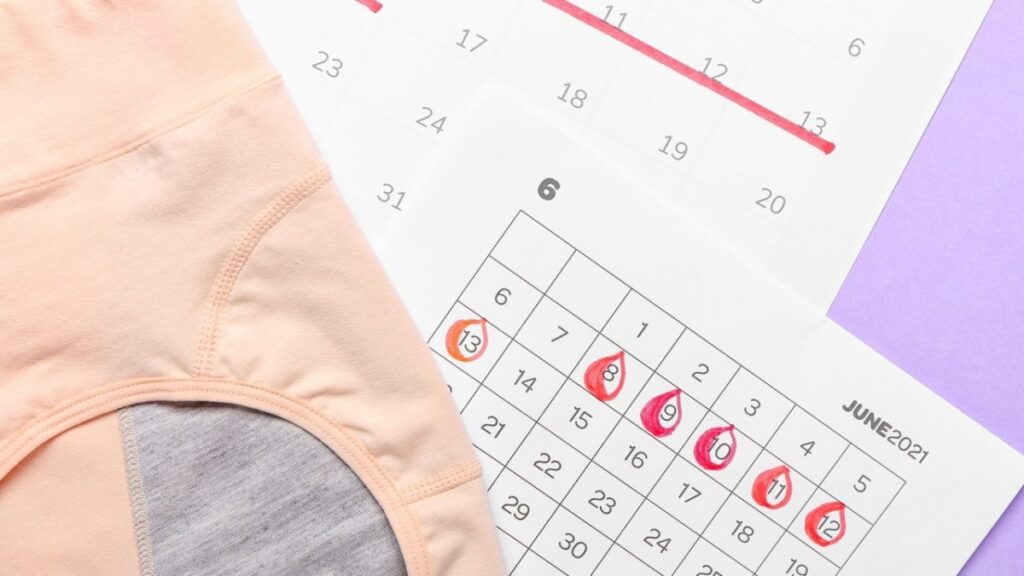 Shutterstock 2097570277 2024 10 29420d830b4b4127b12fc8b3ef591354 16x9.jpg