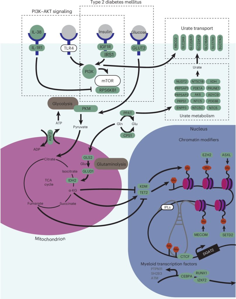 Study Busts Myths Abou.jpg