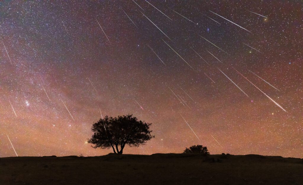 Draconids Meteor Shower: Maps Show Best Spots to See ‘Tremendous Show’ Tree Under Meteor Shower.jpg