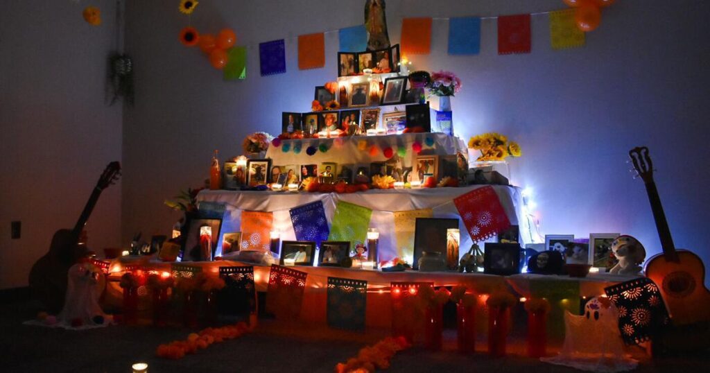 6727f560bcf20.image .jpg