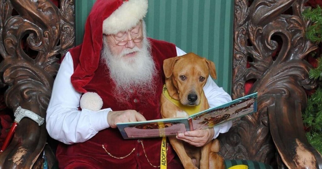 672bfdaa81cba.image .jpg